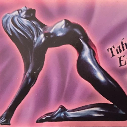 Tahoe's Exclusive Exotic Striptease Dancers place picture